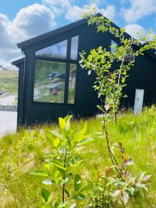 Hodlekvevegen 308 - Flott hytte midt i skisenteret