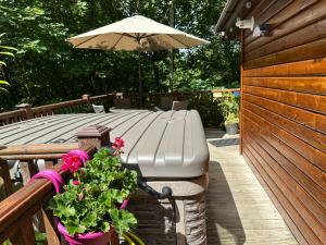 Owls House - Lodge with hot tub- Lake District