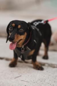 Exclusivo Oasis con Alberca en el Centro Histórico