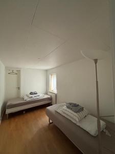 Grøn Odense Central