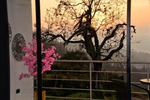 Cabañas el encanto hotel boutique