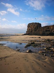 Little Croft, woodland setting sleeps 2 plus 2 kids near Perranporth