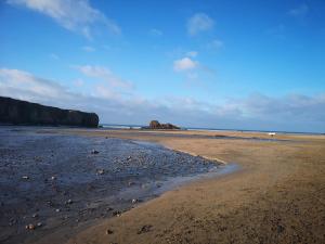 Little Croft, woodland setting sleeps 2 plus 2 kids near Perranporth