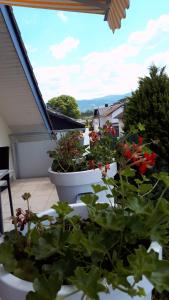 Wohlfühlwohnung am Fuße des Schwarzwaldes