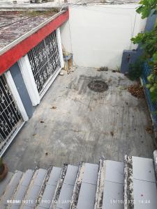 Casa 203