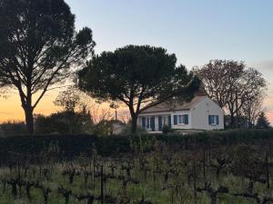 Villas Villa in Carpentras with Private Pool, cleaning included : photos des chambres