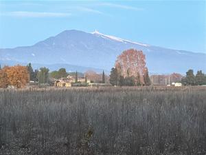 Villas Villa in Carpentras with Private Pool, cleaning included : photos des chambres