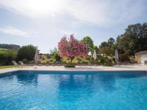 Maisons de vacances Chateau in Lorgues with Pool & Vineyard Views, cleaning included : photos des chambres