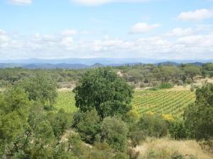 Maisons de vacances Villa in Vidauban with Pool and BBQ, cleaning included : photos des chambres