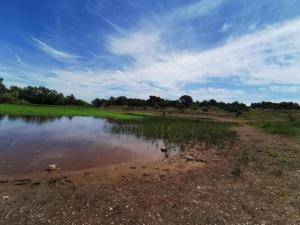Maisons de vacances Villa in Vidauban with Pool and BBQ, cleaning included : photos des chambres