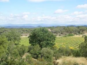 Maisons de vacances Villa in Vidauban with Pool and BBQ, cleaning included : photos des chambres