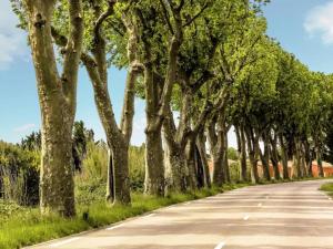 Maisons de vacances Villa in Vidauban with Pool and BBQ, cleaning included : photos des chambres
