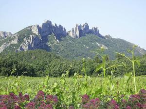 Maisons de vacances Lovely Cottage in Valreas with Swimming Pool : photos des chambres
