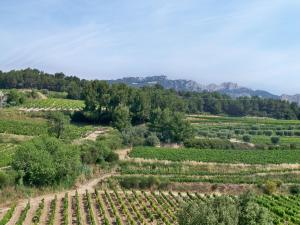 Maisons de vacances Lovely Cottage in Valreas with Swimming Pool : photos des chambres