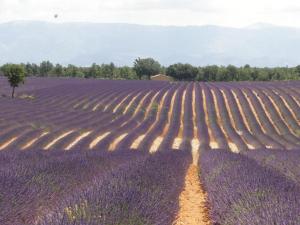 Maisons de vacances Holiday Home La Seyne near Beaches, cleaning included : photos des chambres