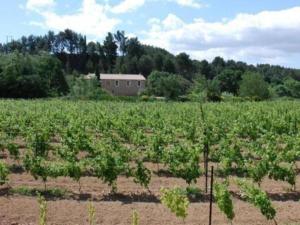 Villas Elegant Villa in Sainte Valiere : photos des chambres
