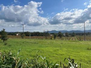 Maisons de vacances Villa in Vidauban with Pool & Vineyards Nearby, cleaning included : photos des chambres