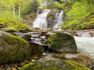 Maisons de vacances House in Vosges near Cascades du Gerhard, cleaning included : photos des chambres