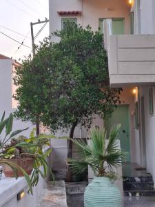 Vitamin sea Apartment 4, Άνετο διαμέρισμα.