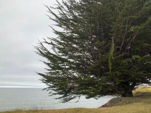 Casa Patagónica, Punta Arenas