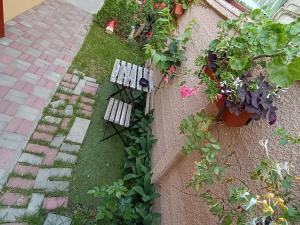 FLH - Apartament Mai cu aromă de cafea și ceai