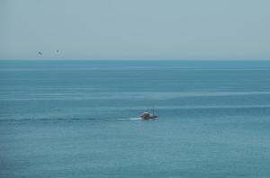 Citrus & Fig Villas Your Hidden Paradise