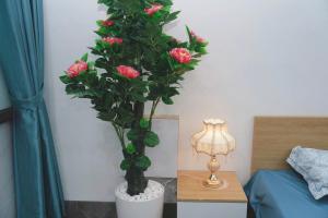 Hương Rừng 105TM1