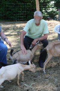 Campings La Ptite Ferme de Caro : photos des chambres