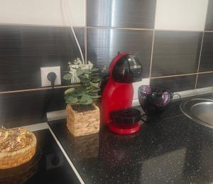Apartment Nena