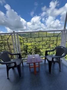 Vagamon Hillvalley Pool Resort