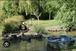 Maisons de vacances Gite Rive Charente Le Bateau : photos des chambres