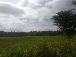 Sanda Diya Dahara