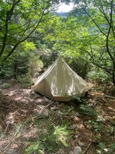 Tente tipi en forêt de châtaigniers