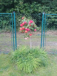 Apartmány U Zámečku