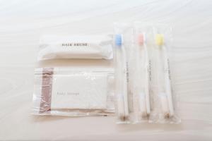 RIVIERA Kujukuri Private 3 Bedroom Villa with Pool Sauna and Tennis Court