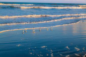 RIVIERA Kujukuri Private 3 Bedroom Villa with Pool Sauna and Tennis Court