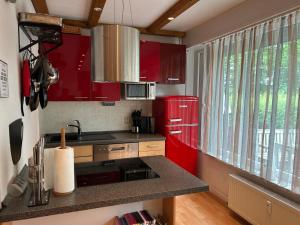 App 622 Panoramic Hohegeiß mit WLan Terrassenhaus