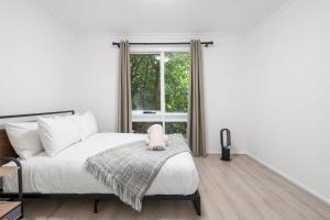 Narrow Neck Hideaway