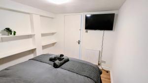 RainforestLodge Edinburgh