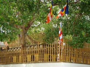 Kassapa Lions Rock