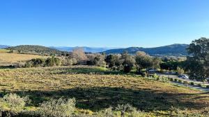 Appartements T3 Vignes & Terrasse 25 m2 au calme - Vue verdoyante - A 7 min de la plage - Parking Gratuit - La Croix-Valmer : photos des chambres