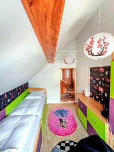 Hidden House Moieciu