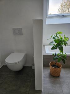 Close to Frankfurt - TheChicandCosy - 125qm