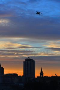 chic ve modern daire taksim meydani