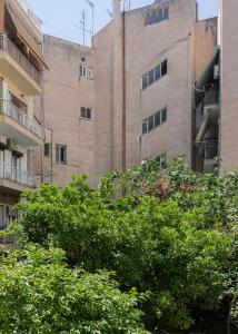 Kookaki by Zoia Living