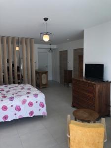 Appartements Studio 38m2 le Grand Angle, centre-ville, parking et terrasse : photos des chambres