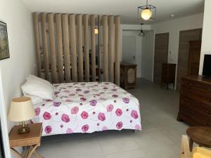 Appartements Studio 38m2 le Grand Angle, centre-ville, parking et terrasse : photos des chambres