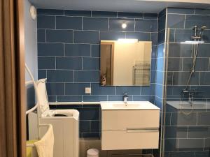 Appartements Studio 38m2 le Grand Angle, centre-ville, parking et terrasse : photos des chambres