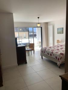 Appartements Studio 38m2 le Grand Angle, centre-ville, parking et terrasse : photos des chambres