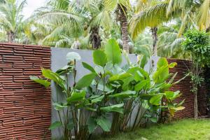 Ekta Pool Farmstay Pollachi